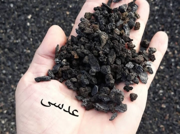 پوکه عدسی درجه ۱