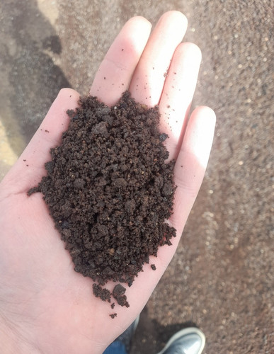 پوکه پودری معمولی(درجه ۲)