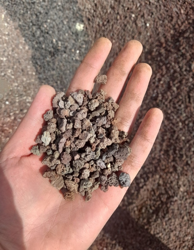 پوکه عدسی معمولی (درجه۲)